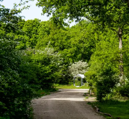 DSC02791