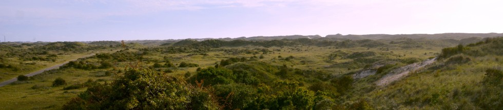 dunearea kennemerland geversduin nature protectet area