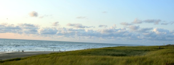 dunes at the sea in the evening egmond aan zee.jpg