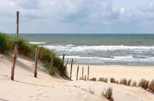castricum aan zee beach dunes