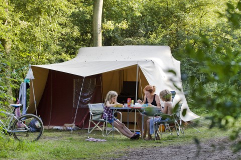 Camping Geversduin brown tent nature