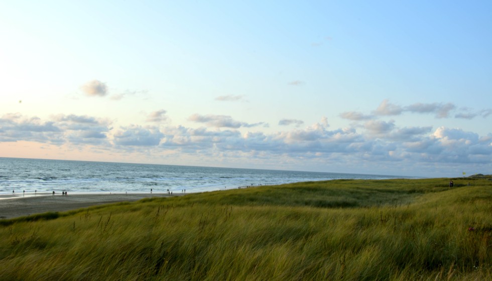 dunes sea egmond beach